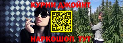 гидра Бийск