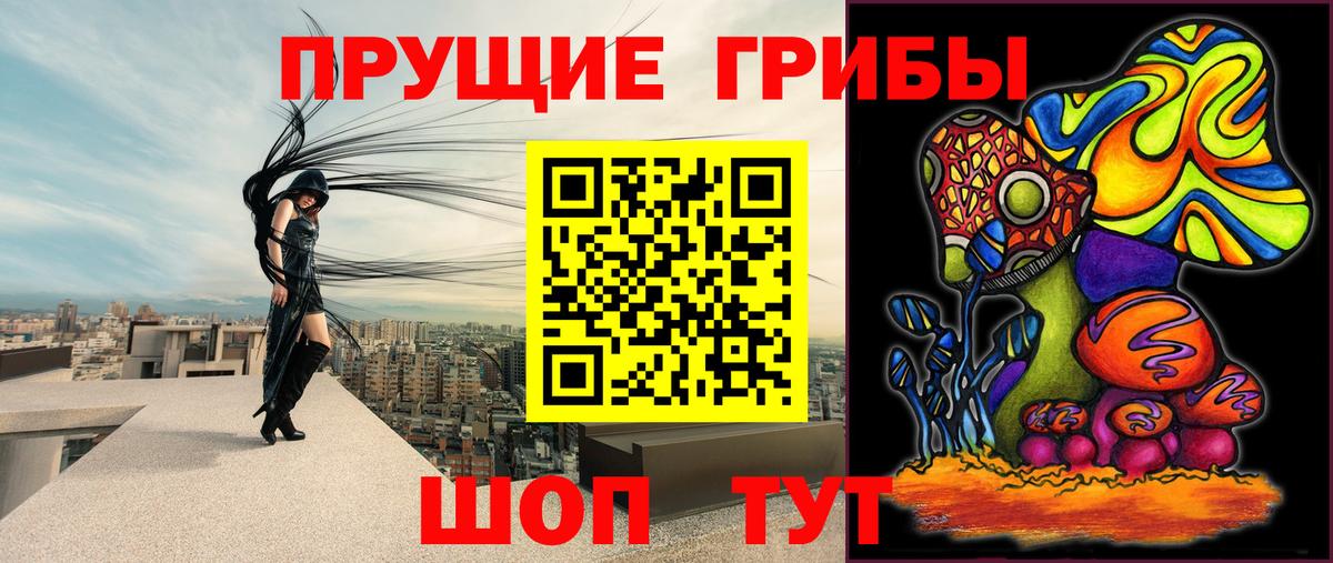 Ишимбай  Галлюциногенные грибы прущие грибы  Вход с VPN  Галлюциногенные грибы Cubensis 
