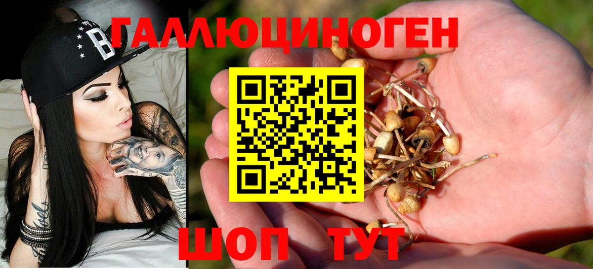 Галлюциногенные грибы Psilocybine cubensis Ишимбай